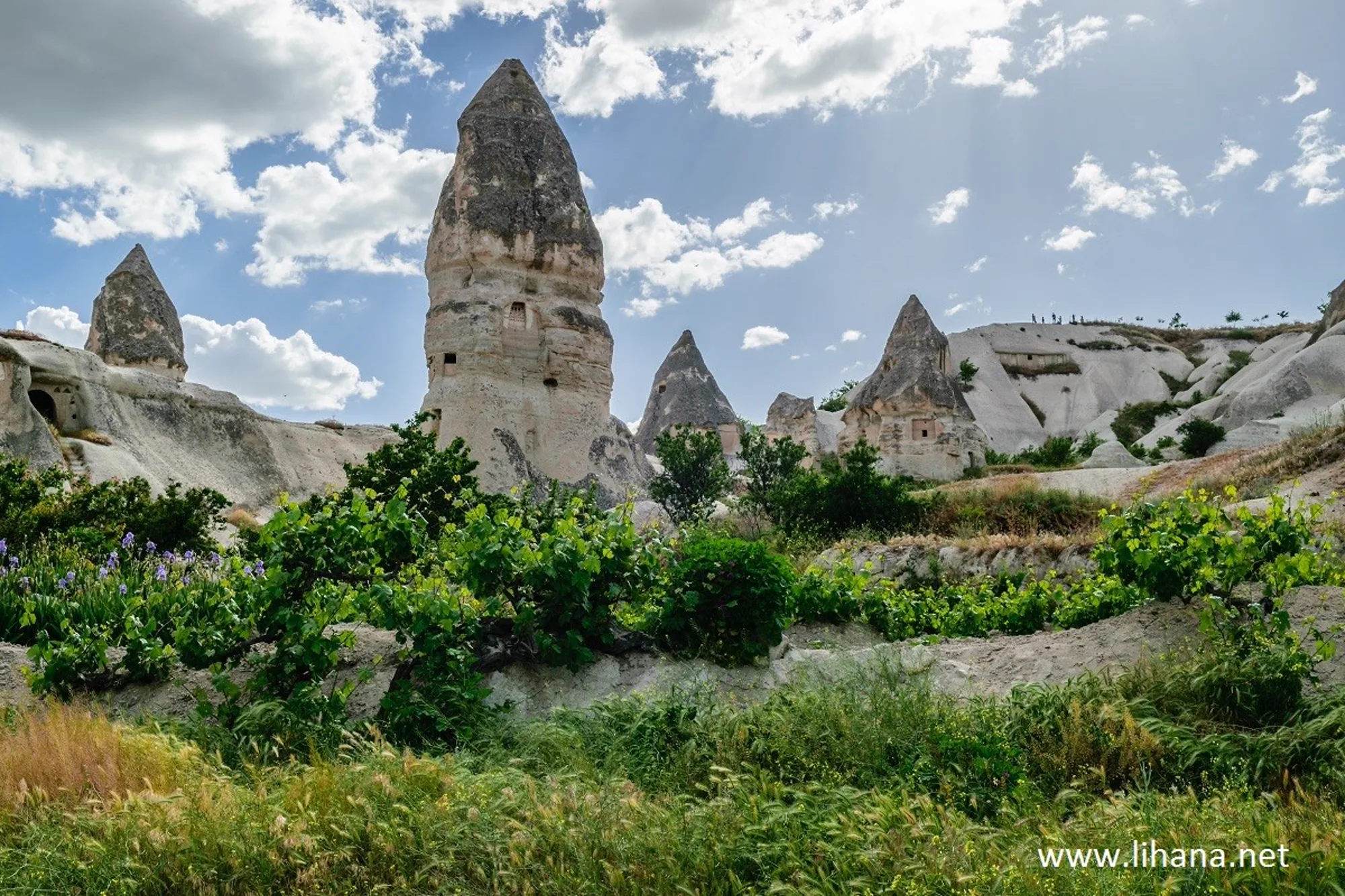 Панорама пещерного посёлка среди скальных конусов Каппадокии